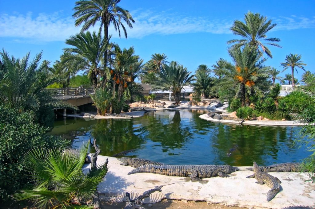 Djerba-Explore-Park-crocodile-Djerba